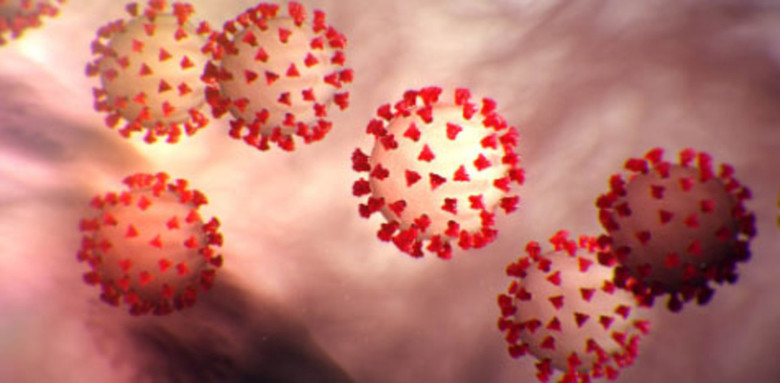 COVID-19 Response